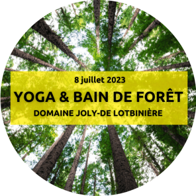 Yoga et bain de forêt au Domaine Joly-de-Lotbinière